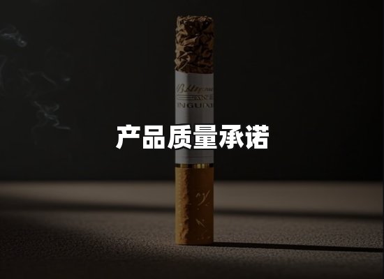 专业优势